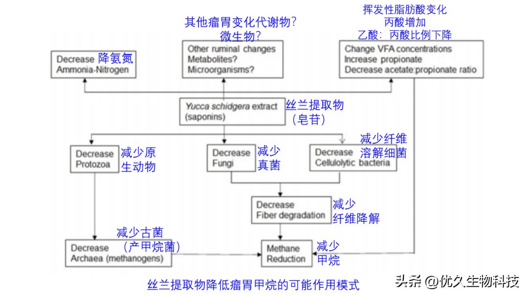降氨氮药物有哪些,降氨药包括哪些