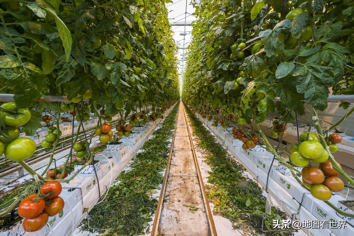 荷兰光刻机是荷兰哪个企业生产的,世界科技强国荷兰排名