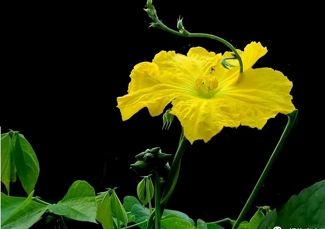 高考满分作文精选10篇必背范文,高考必备十篇优秀作文及点评