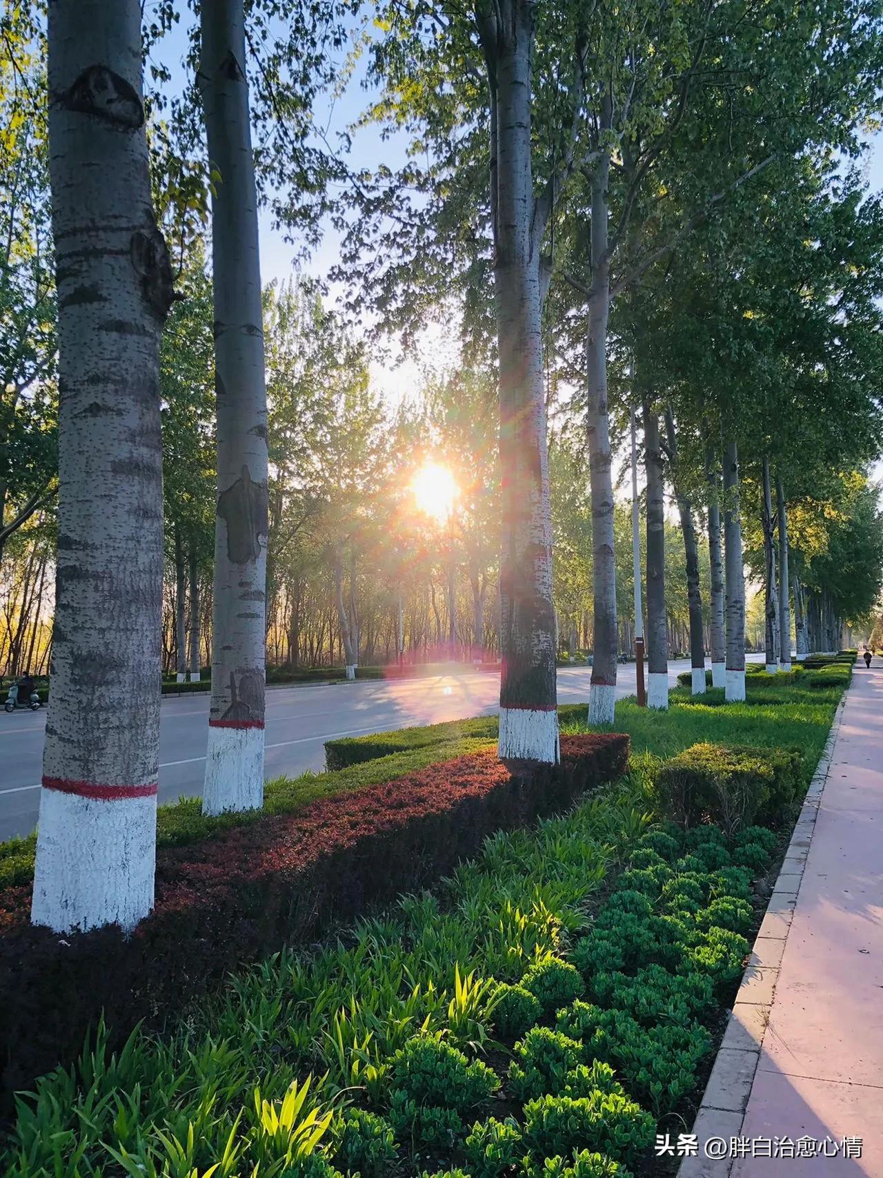 形容美丽风景的唯美句子,形容家的风景美丽的优美段落