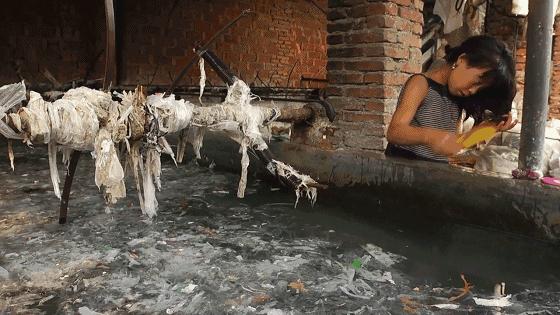 30多年了，中国终于彻底清除了“洋垃圾”