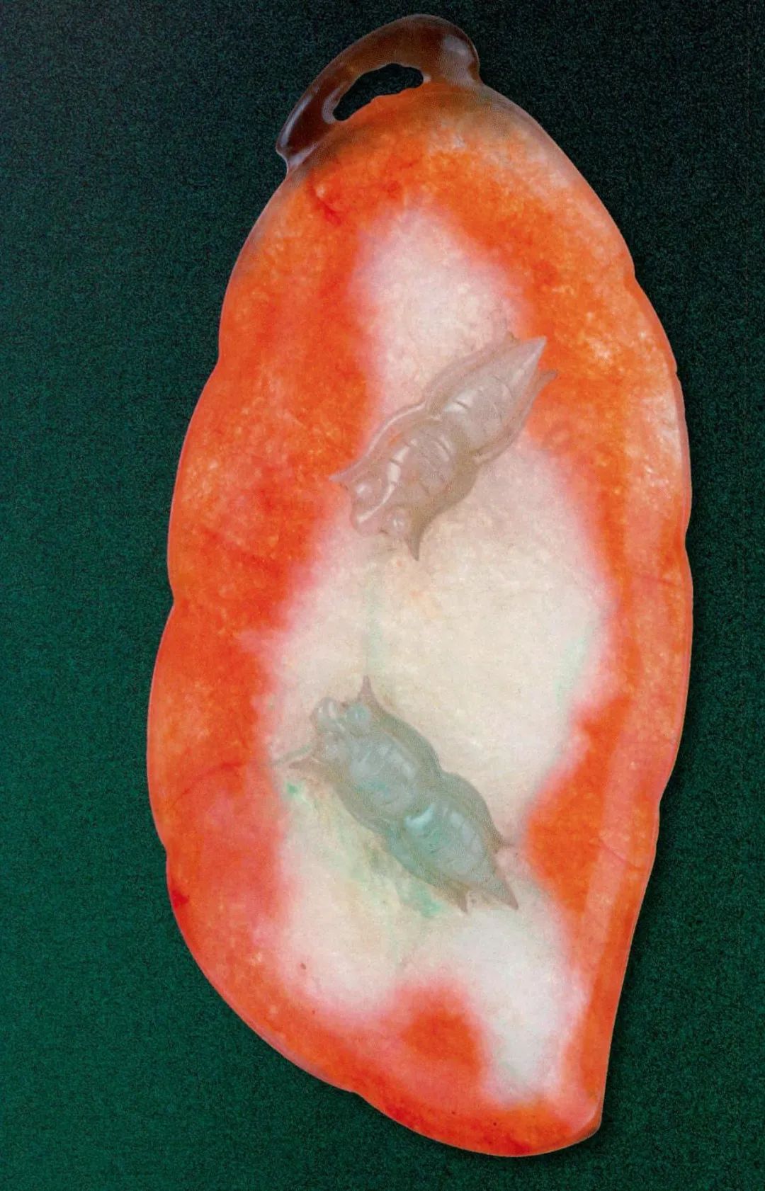 红翡精品图片大全,红翡翡翠散珠