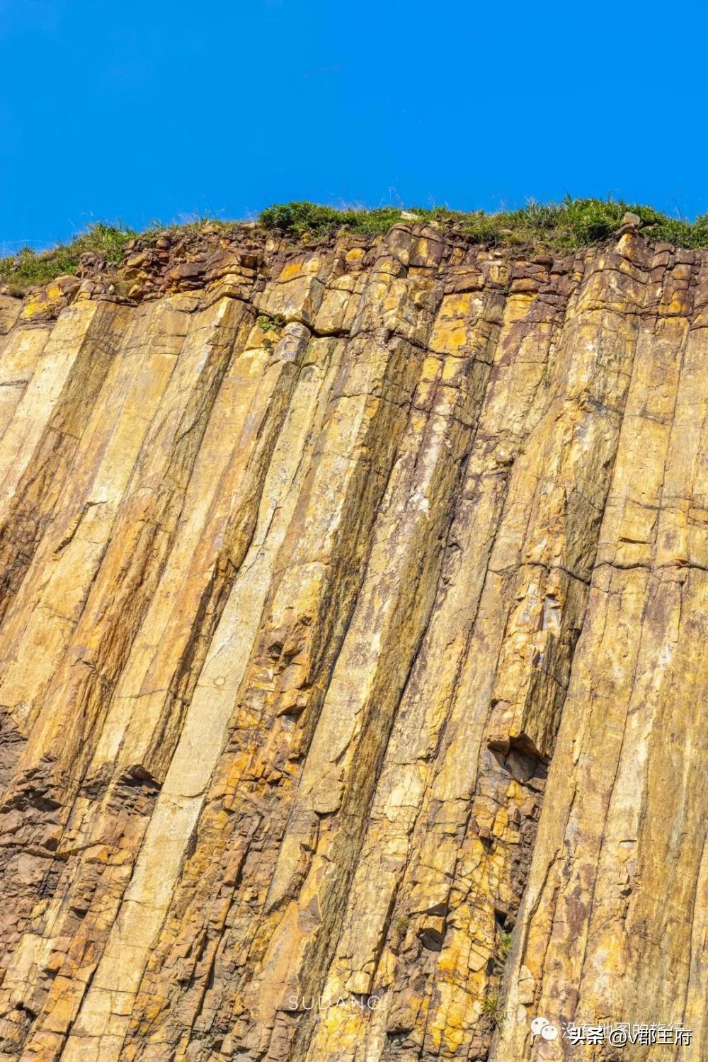 香港自助旅游攻略最新,来香港玩如何不花钱