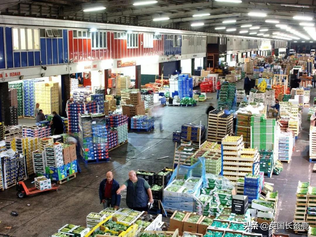 在英国怎么在网上买东西,英国海鲜刺身哪里买