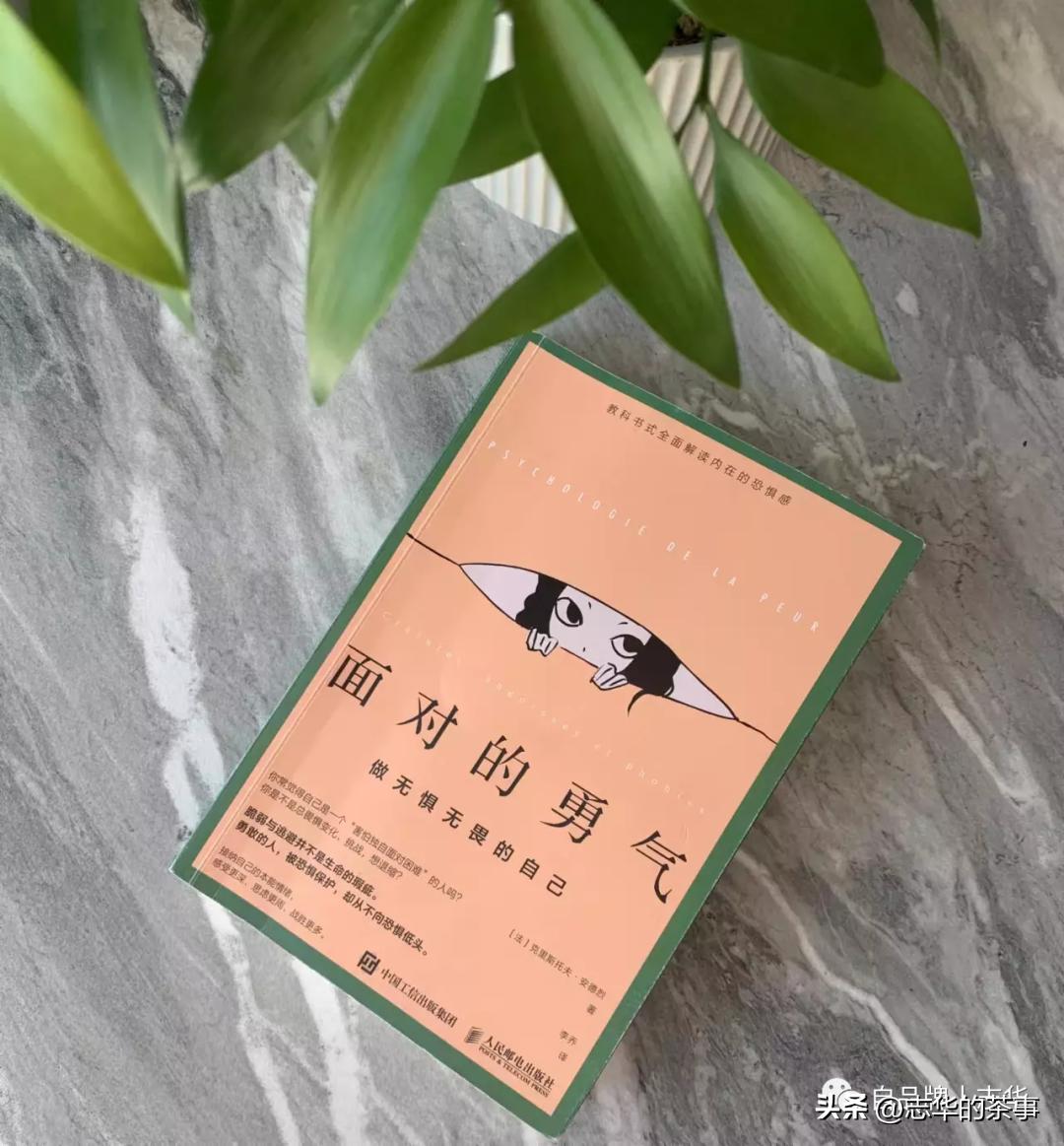 善用“恐惧的力量——读书笔记《面对的勇气》