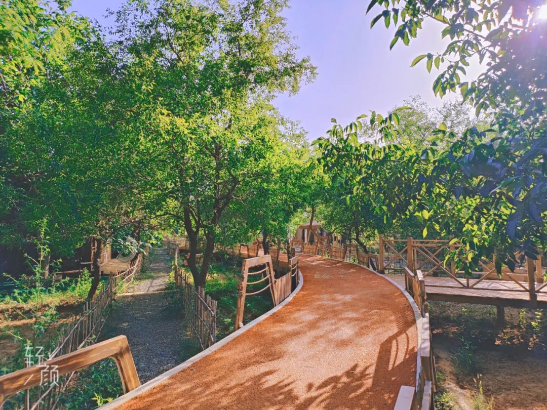 永靖盐锅峡小茨村规划,甘肃永靖盐锅峡小茨村木栈道