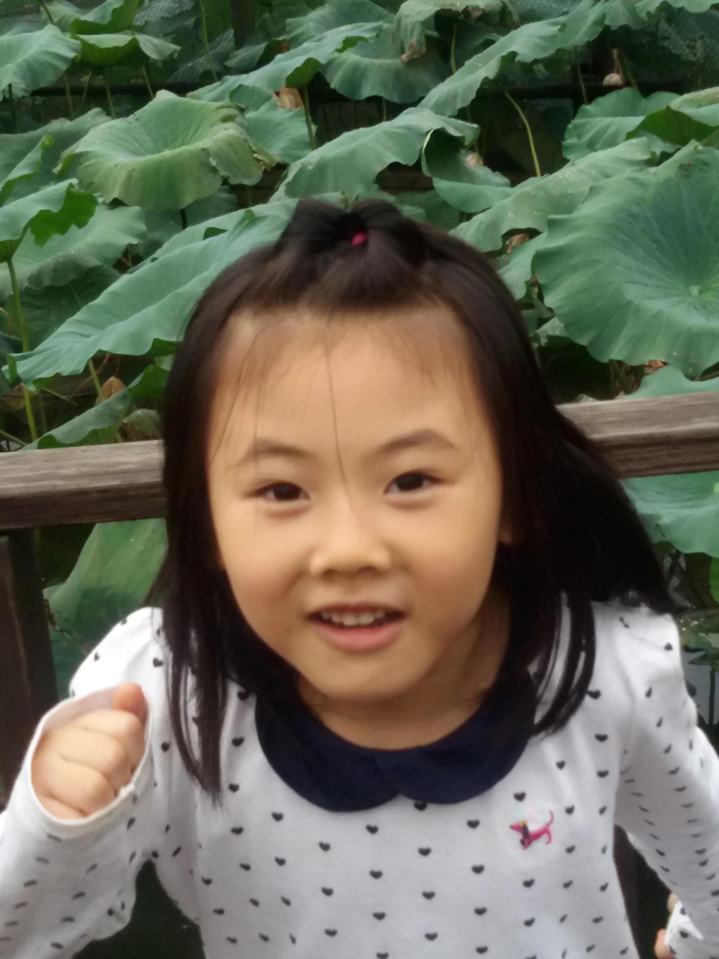 七夕花花合集,粉色花花合集