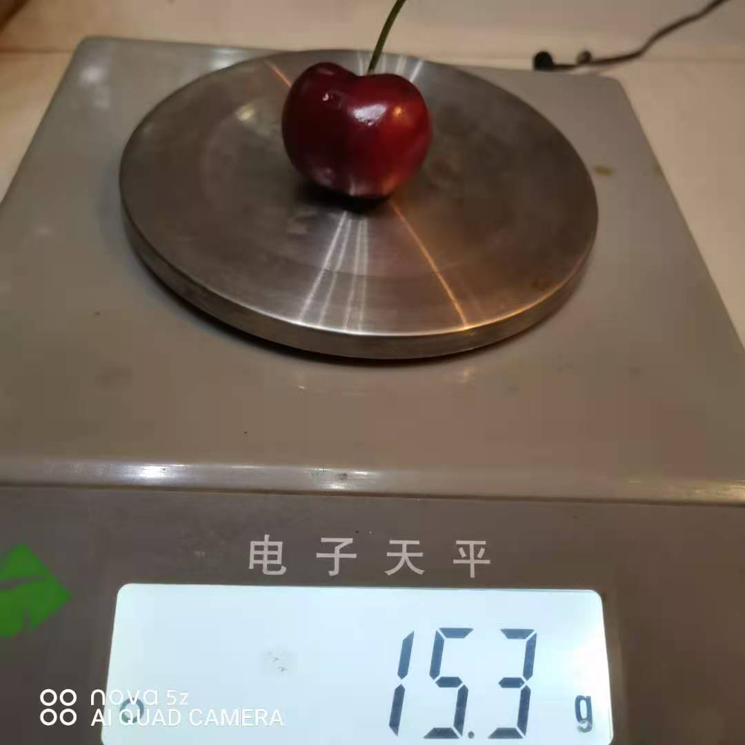 沙里淘金，从新品种中淘出好品种