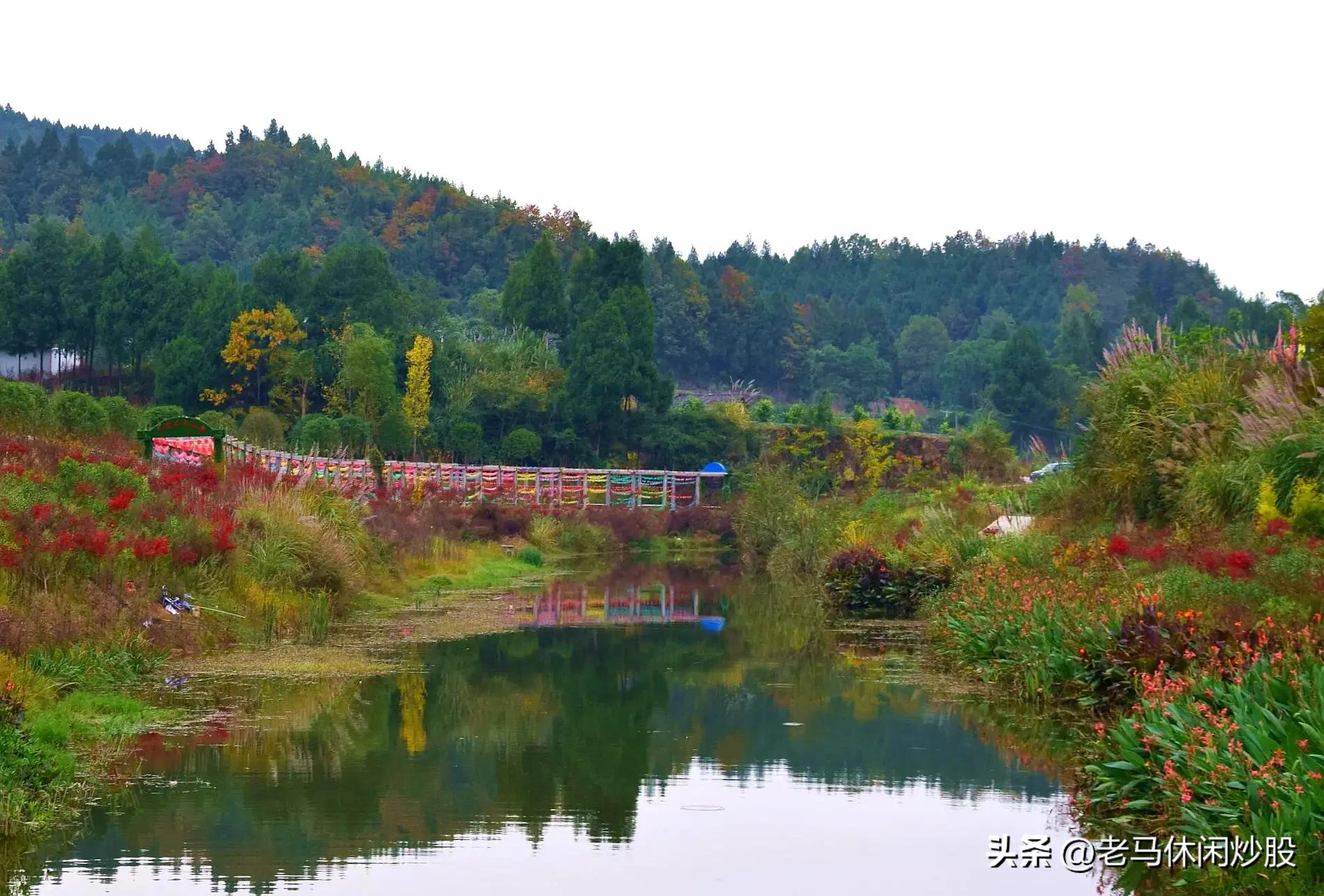 阆中五龙村景区,五龙村在哪