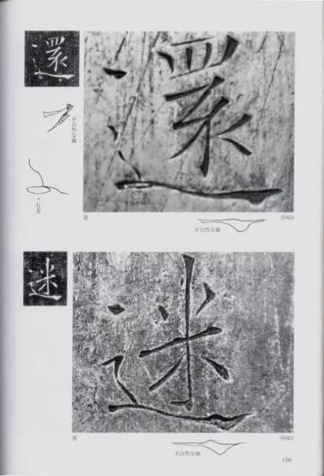 宸ョ瑪鐢绘潹鏅箟鐢诲唽,鏉滈箖鏉ㄦ櫘涔夊畬鏁寸増