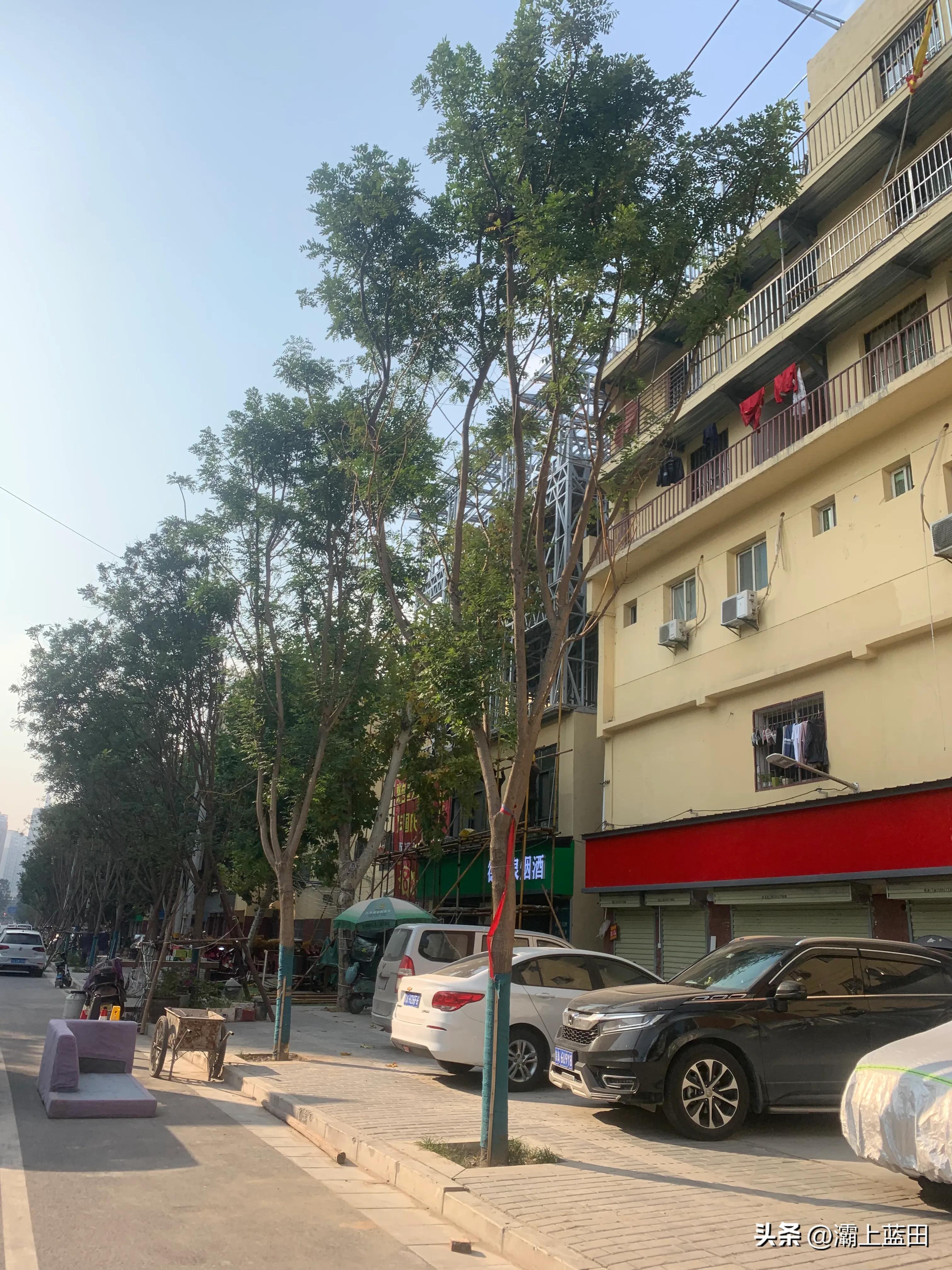 南康区旧村改造名单,西安南康村最新拆迁消息