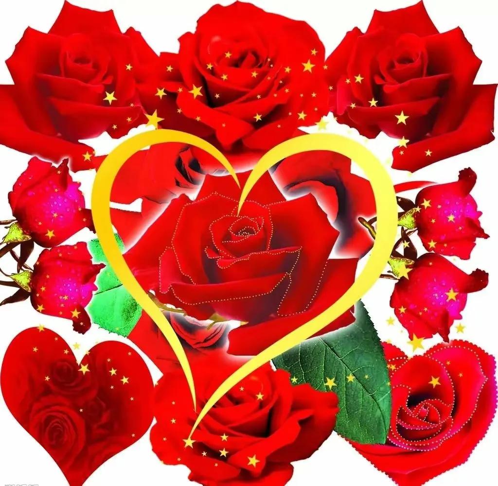 520送你最美的玫瑰花,520把最美的祝福送给幸福的你