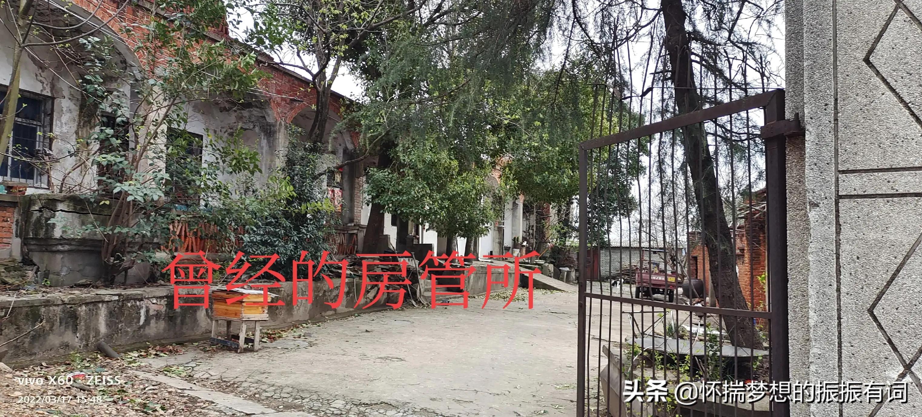 曾经辉煌没落后又重新崛起的产品,曾经的辉煌如今只剩下没落