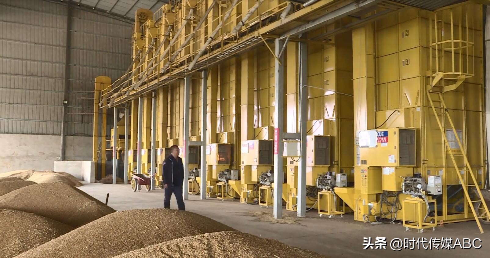 乡村振兴领头雁群众致富引路人,乡村振兴村民致富领头雁