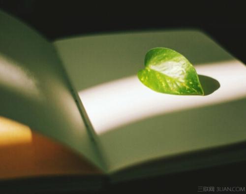 安静是一种享受的散文,安静是一副良药可以治愈一切