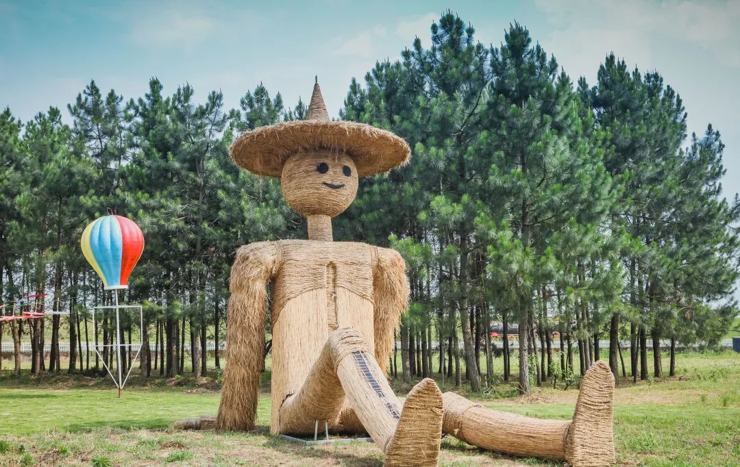 稻梦空间乡村生态观光园,稻梦空间采摘园