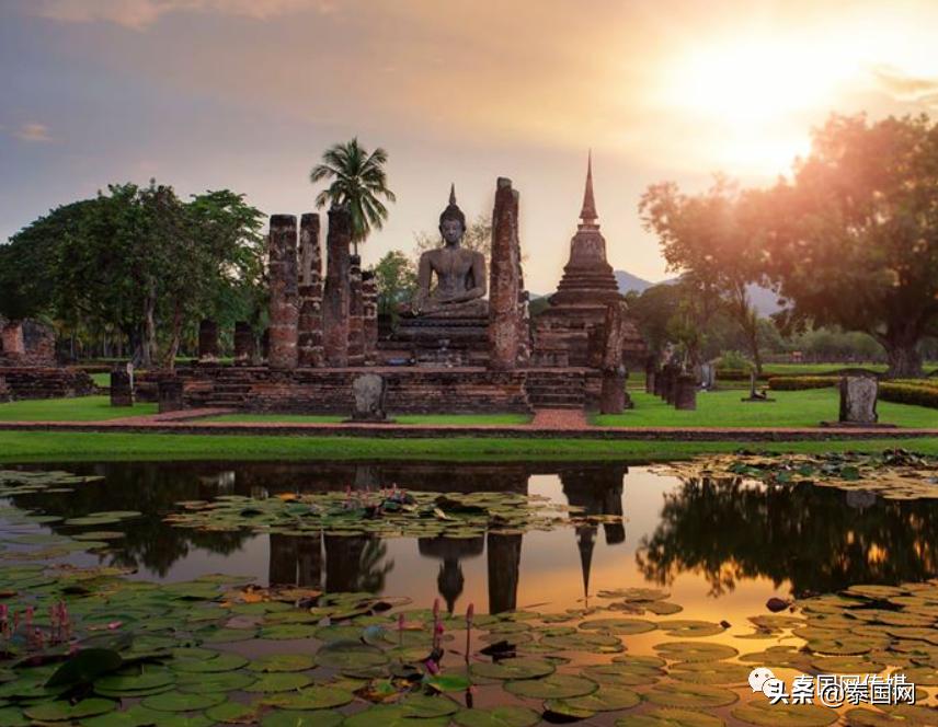 冤鬼大项目：在泰国做电商的中国老板，是如何一步步被玩死的？