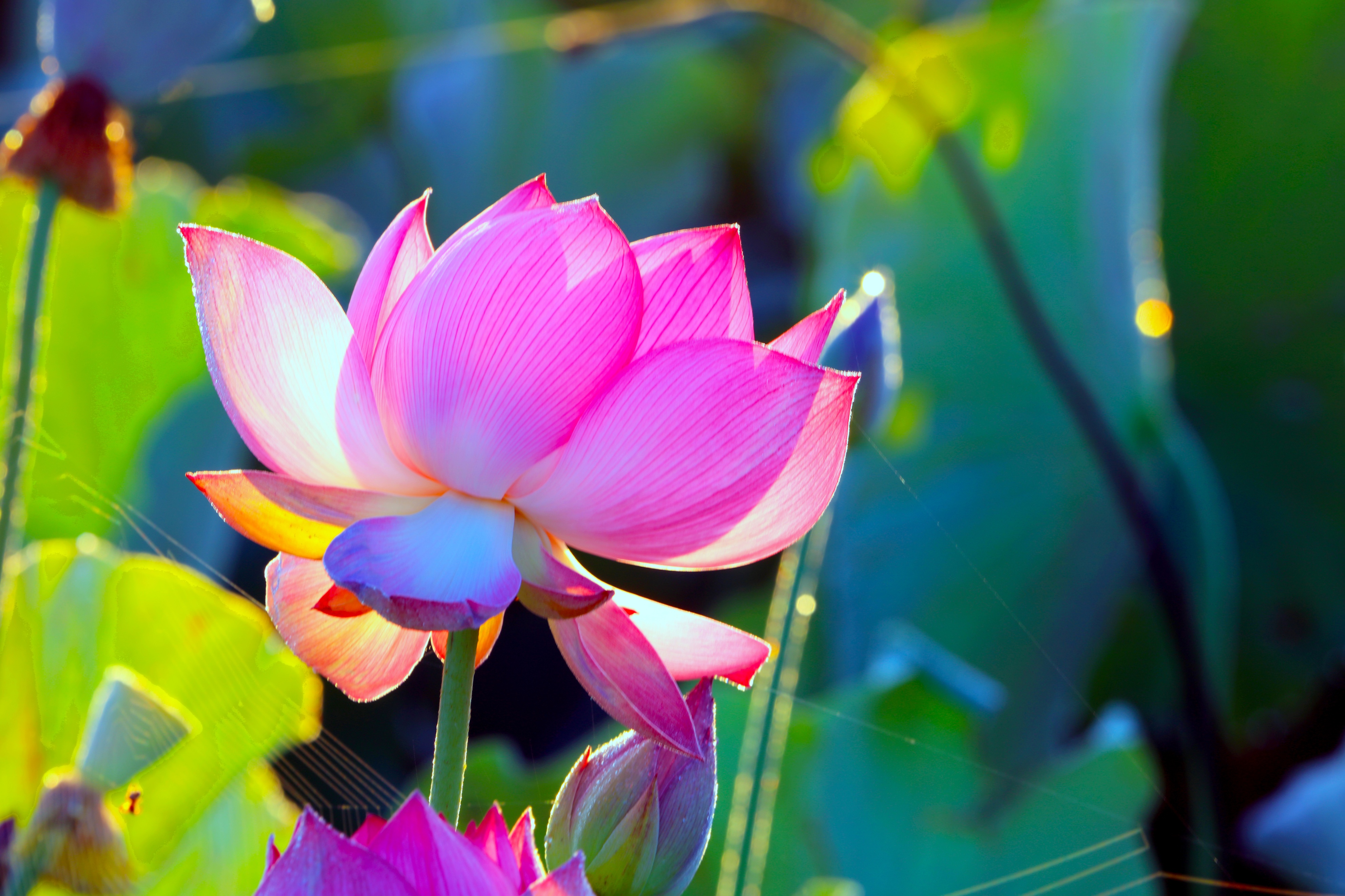 最美五四青年节的图片,五四青年节祝福动图表情