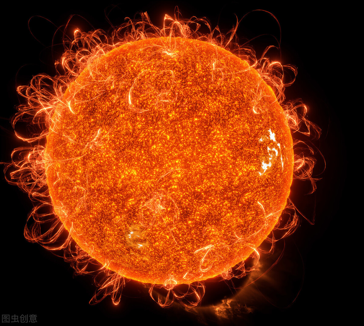 生物进化是自然科学的永恒之谜,生物进化的死亡机制是什么