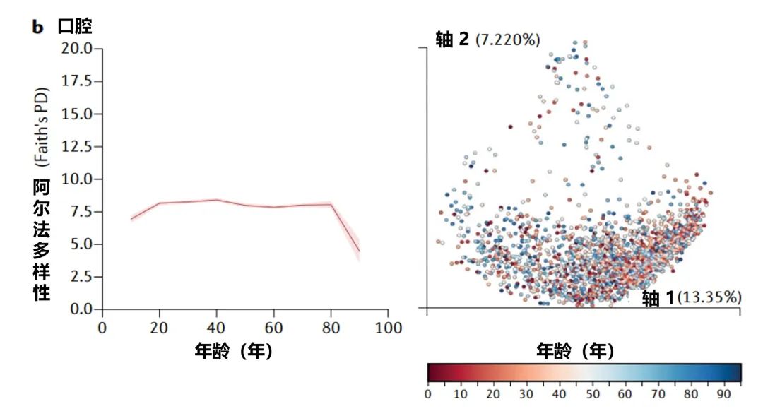 人体微生物分布于哪些位置,与人体共生的微生物