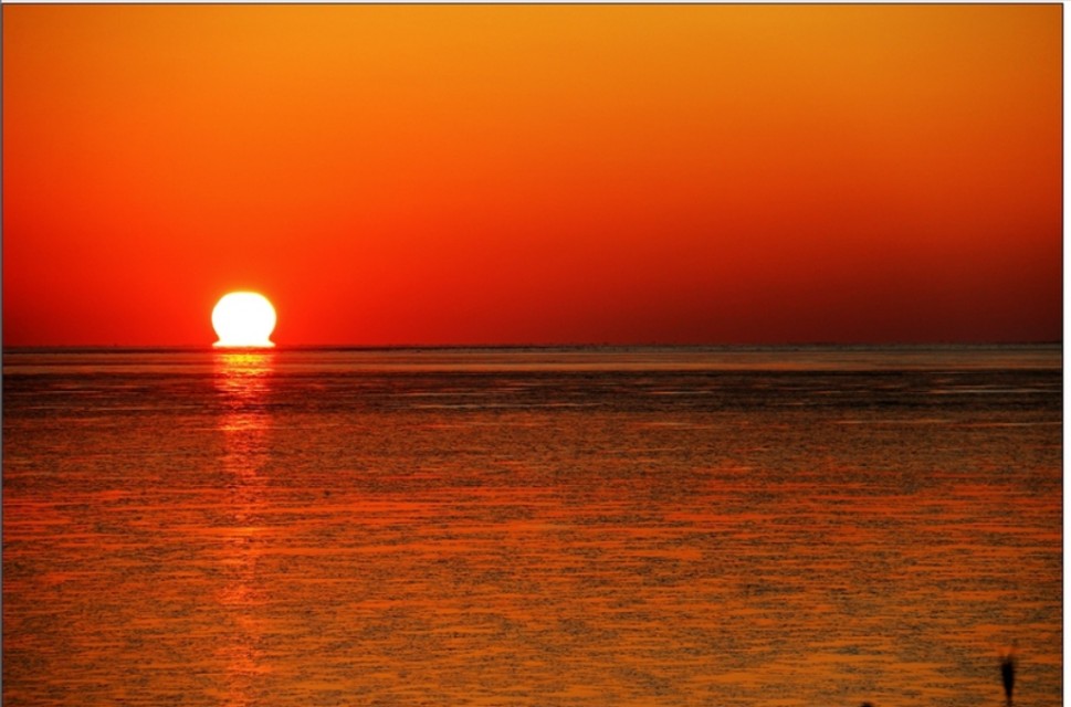 胡兰成眼中的张爱玲是什么样的,你眼中的张爱玲