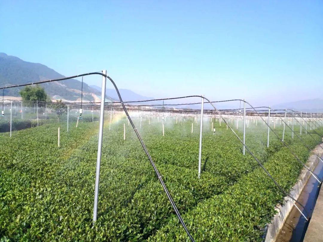 智慧农业科技引领三农,智慧农业科技助力农产品丰收