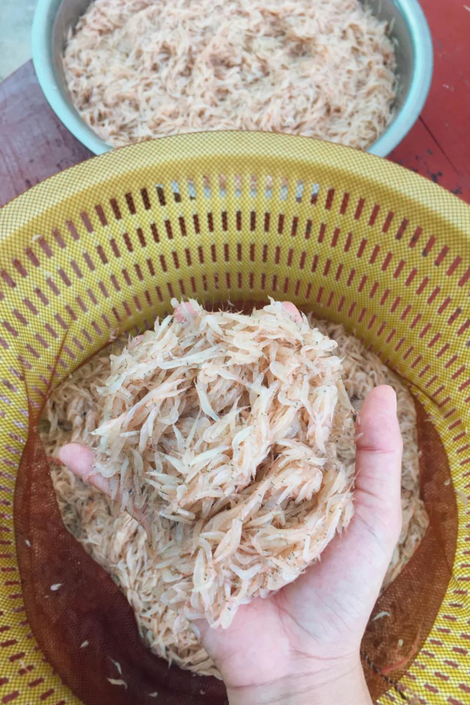 山东必吃海鲜盘点,山东十大特色海鲜