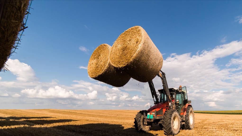 农村不愁销路的生意2020,农村加工厂不愁销路的行业