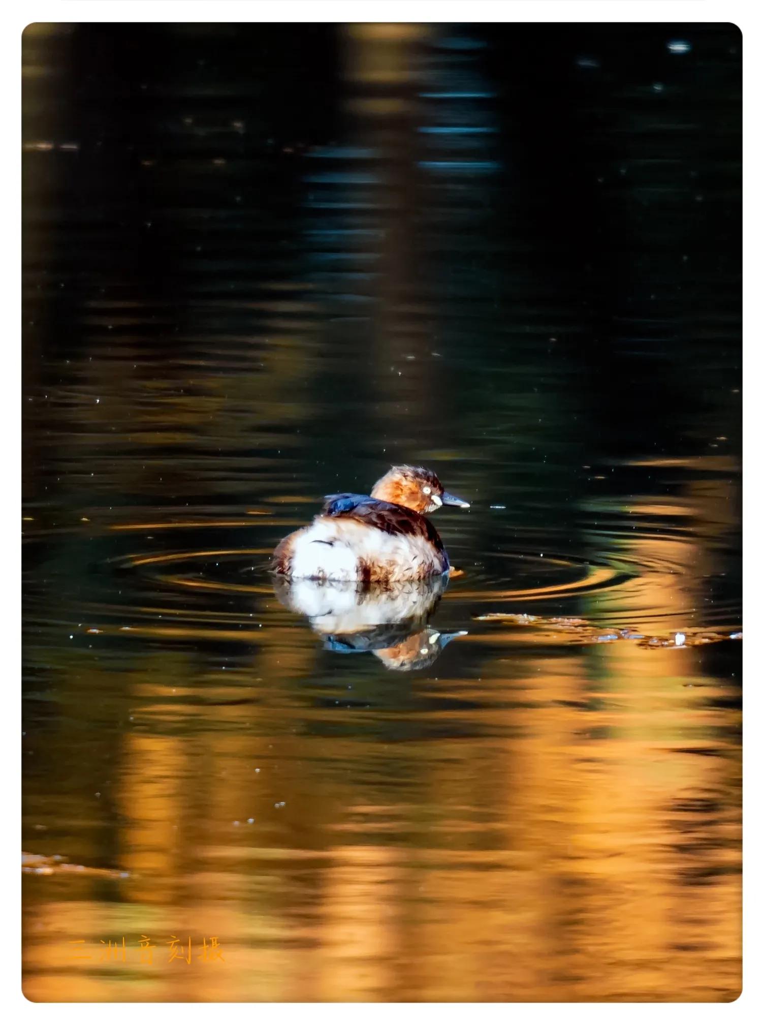 上海国际汽车城安亭,上海安亭国际汽车城