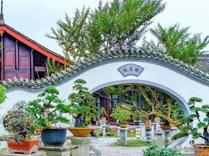 藏不住了！《梦华录》同款宋韵美学，就在温江这些地方→