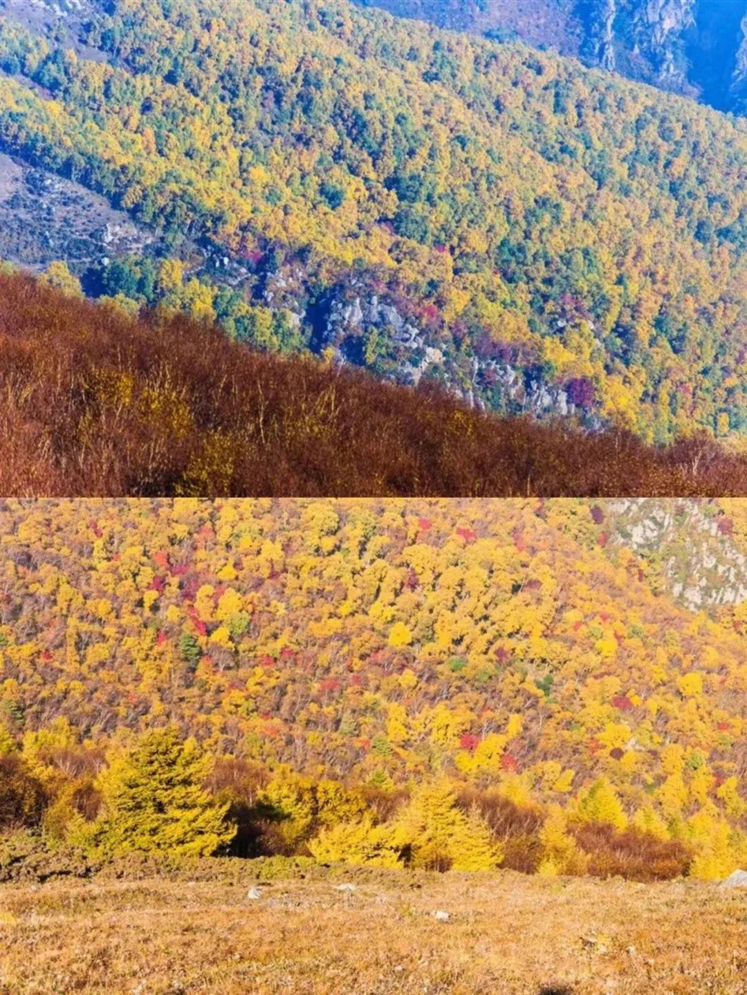 一入秋北京就变成了北平原文,一入秋北京就成了北平是谁说的