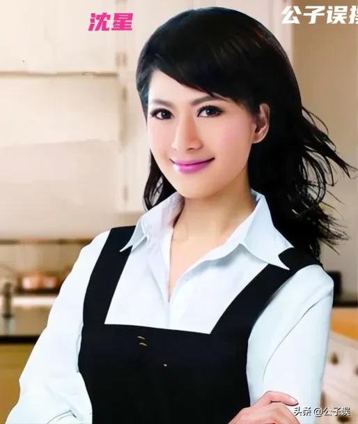 一张和冯小刚的“夜宿门”照片,彻底撕下了沈星的遮羞布