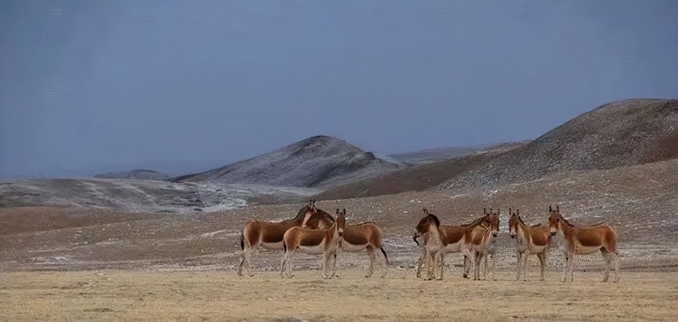 读《北方的空地》：人生才是探险，出世入世，不过一个转身