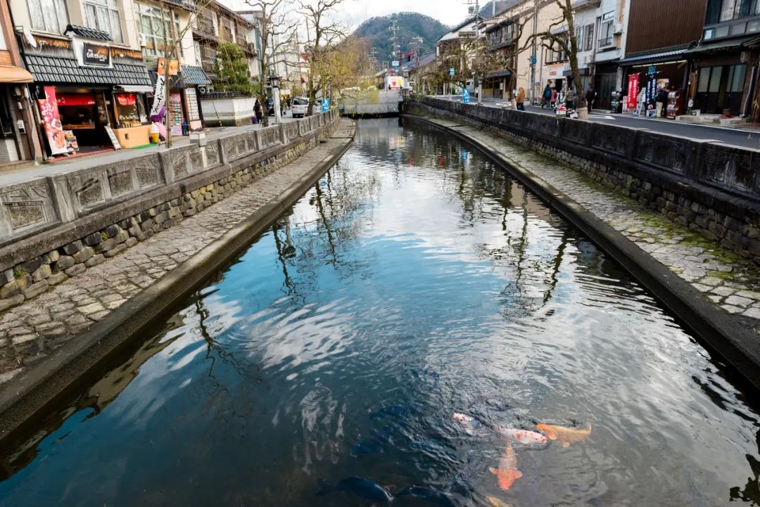 日本01年出生人口,日本01假面骑士