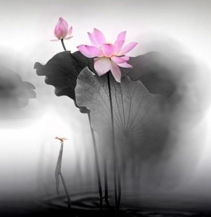 让你内心变强大的十句话,如何使内心变得更强大