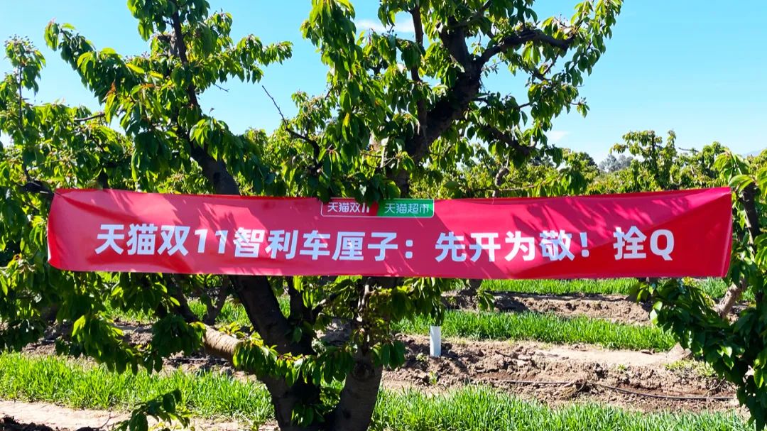 每个人都很优秀文案短句,每个人都很出众文案