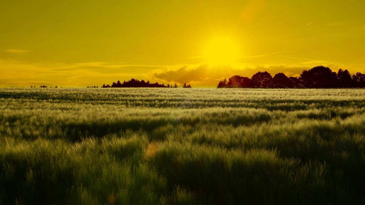 企业所得税汇算清缴退税账务处理,企业所得税汇算清缴有退税怎么调