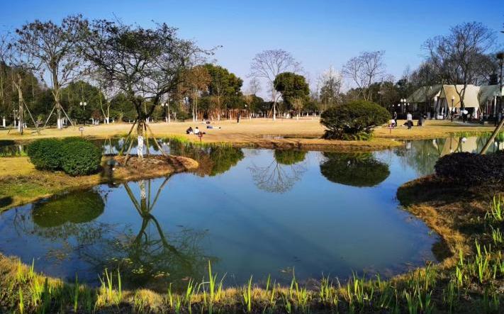 520娴极濠氱ぜ鐜板満,520娴极灏嗚嚦