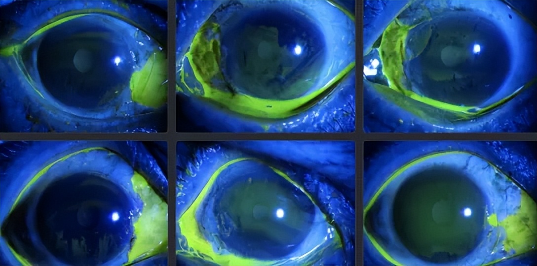 目标检测数据集采集,目标检测图像数据集