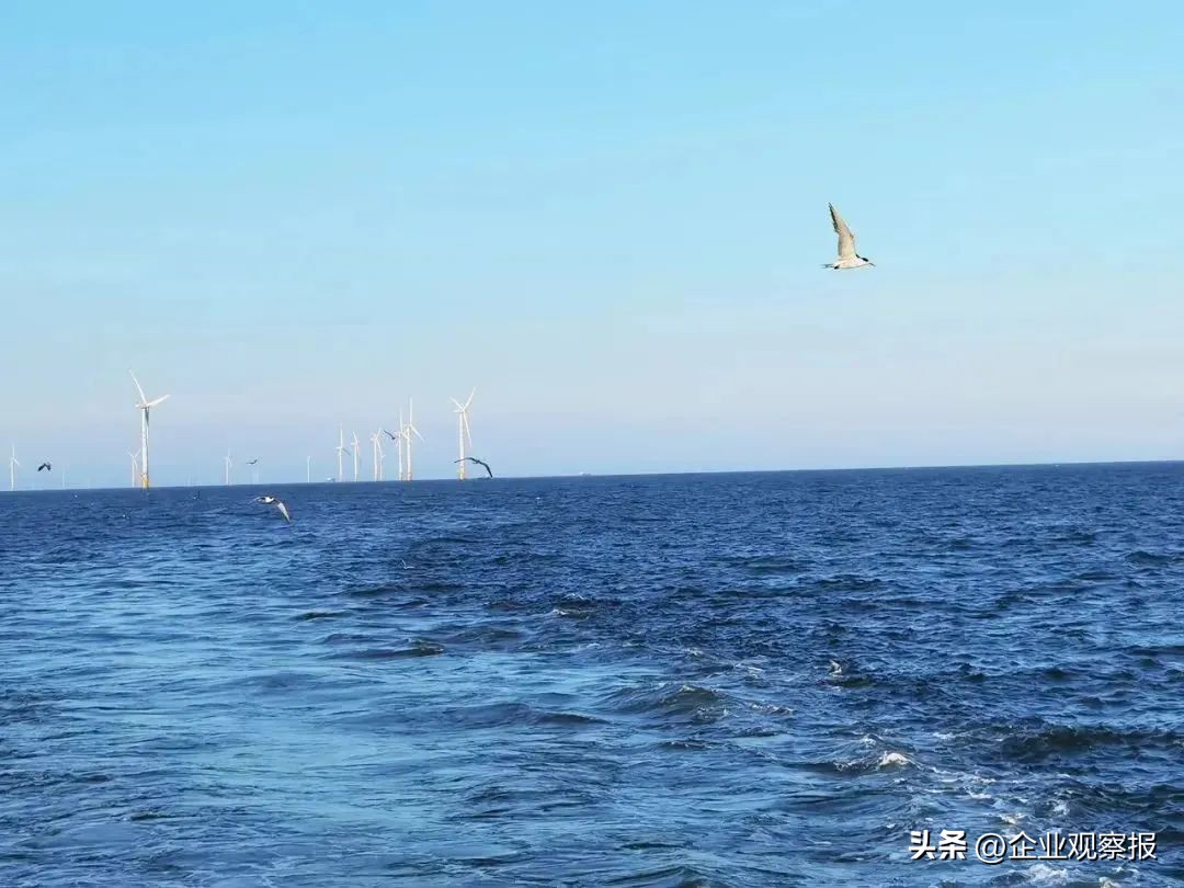 当好推进生态文明建设的实践者,中国诚通愿景