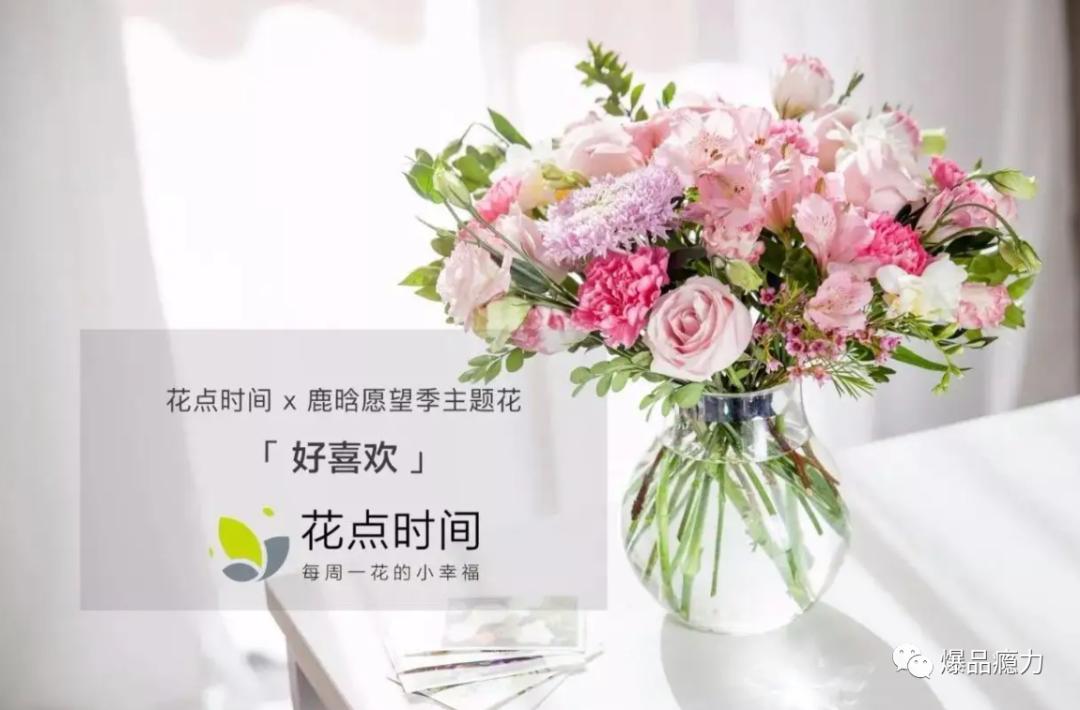 高圆圆投资哪个电商一年赚1个亿,高圆圆投资的花店一年赚一个亿