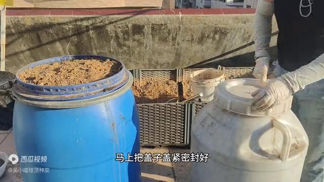 楼顶阳光房种菜怎么才没有虫子,楼顶种菜一年四季都吃不完