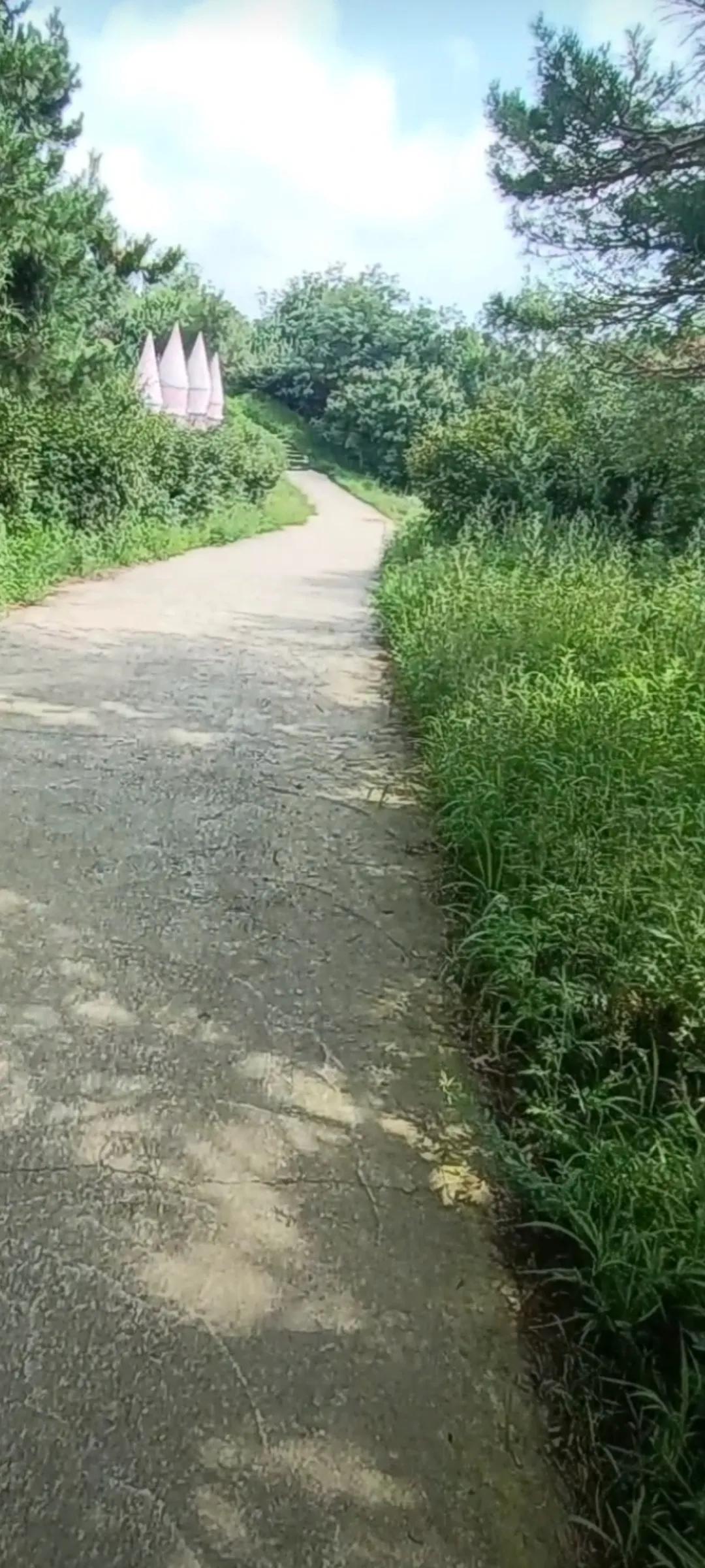 梦幻城堡礼物多少钱,梦幻城堡别墅