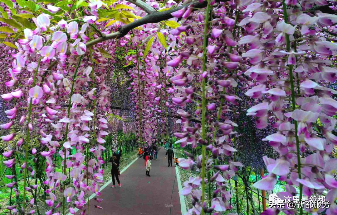 芳华微马公园好耍不,芳华微马公园有什么玩的