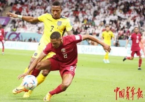 看卡塔尔世界杯感悟,看卡塔尔世界杯有感