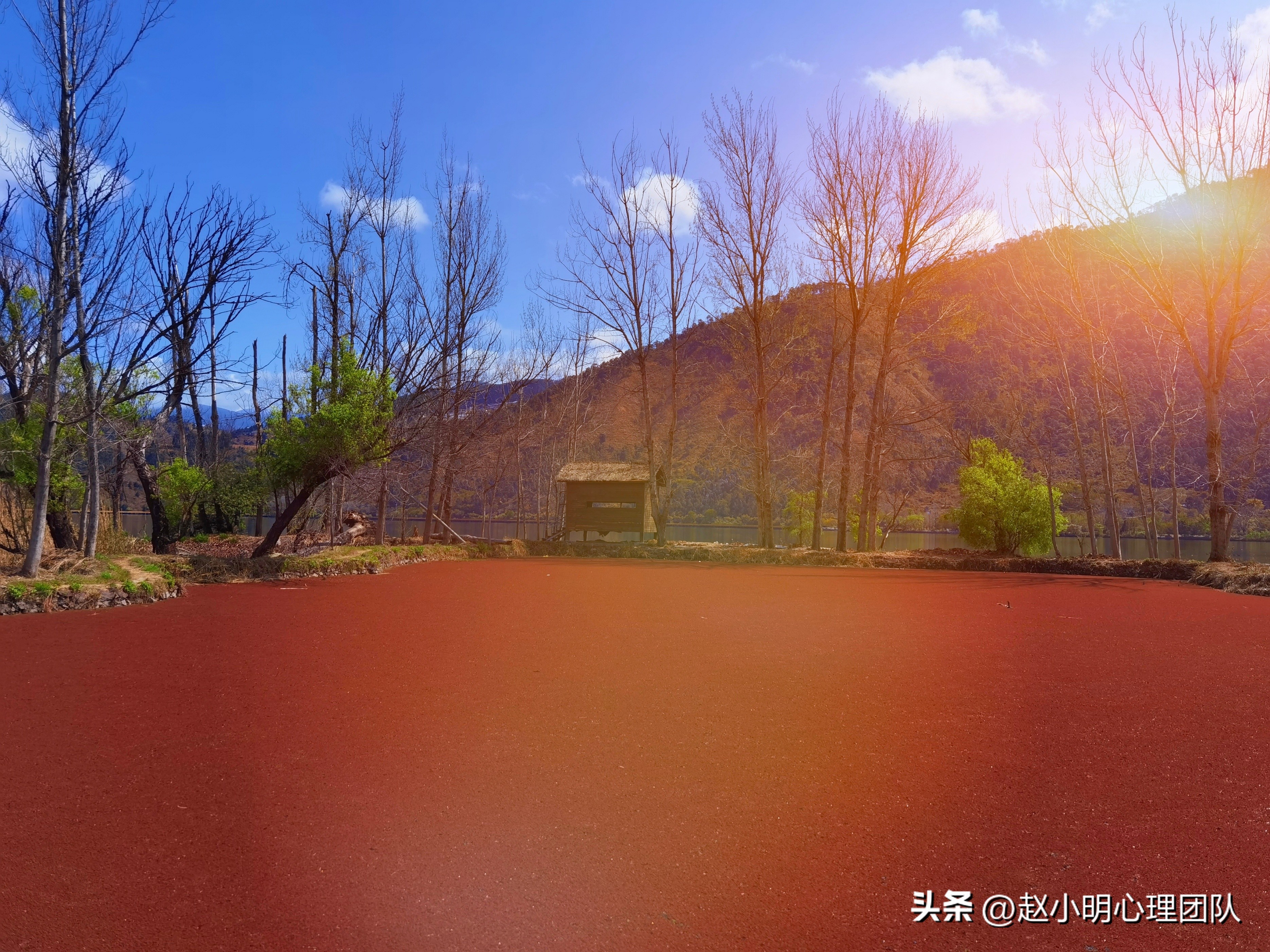 孩子胆小内向，缺乏安全感？你只需这样做，立马见效！