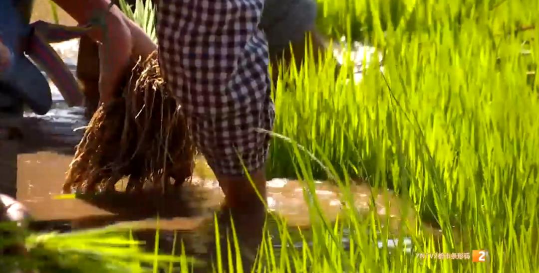 昆明周边露营游玩景点攻略,昆明附近野餐露营风景推荐