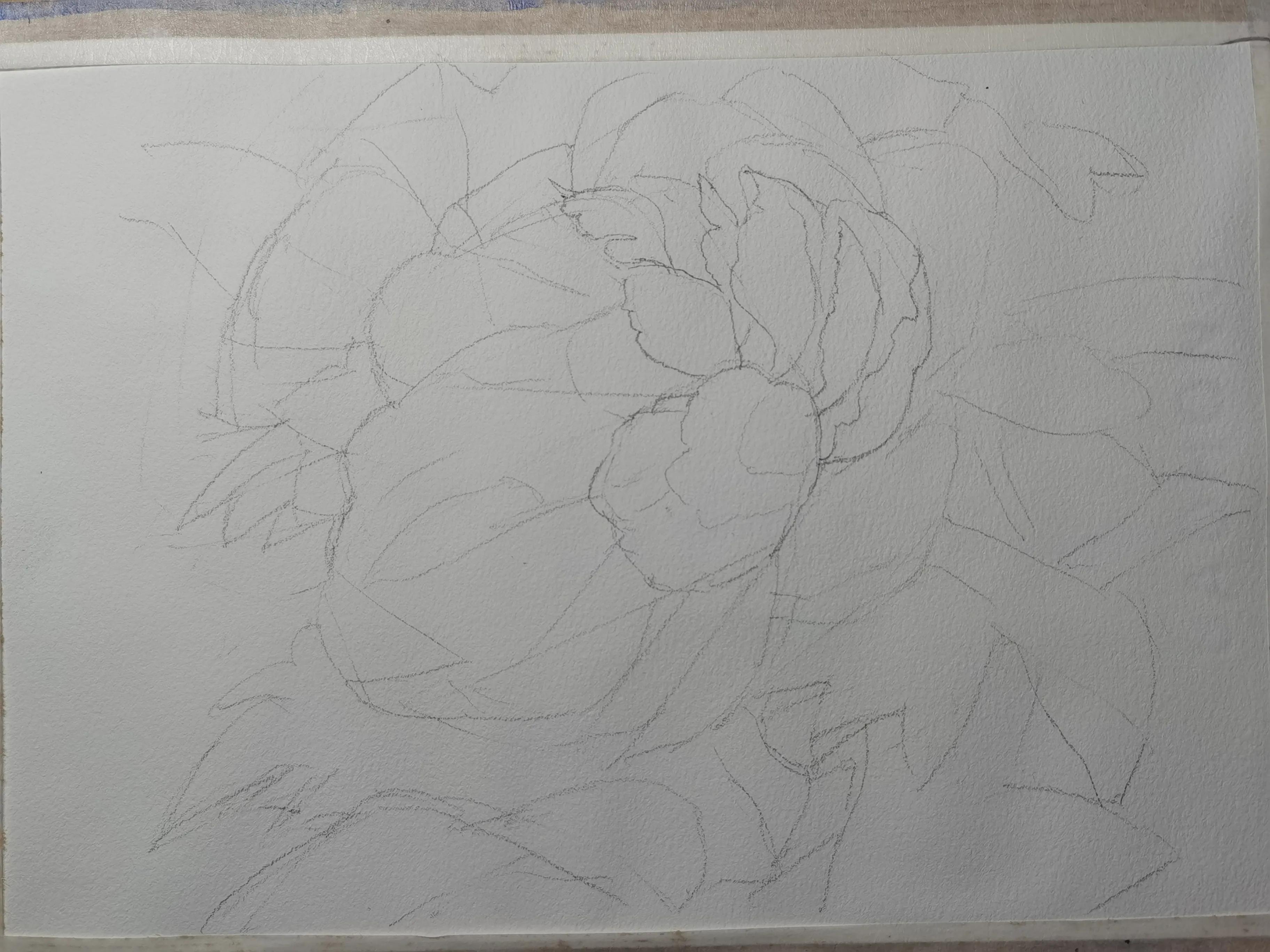 画侧面的两种方法,画准确线稿