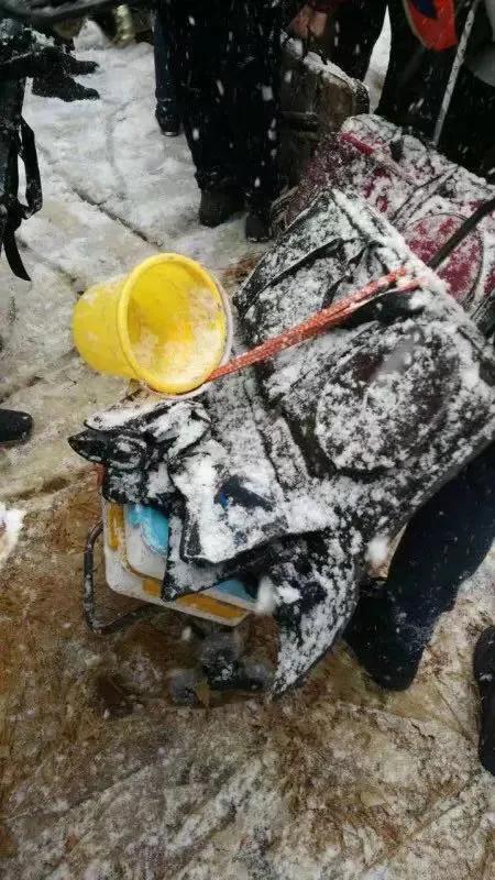 一个美术艺考生的妈妈说