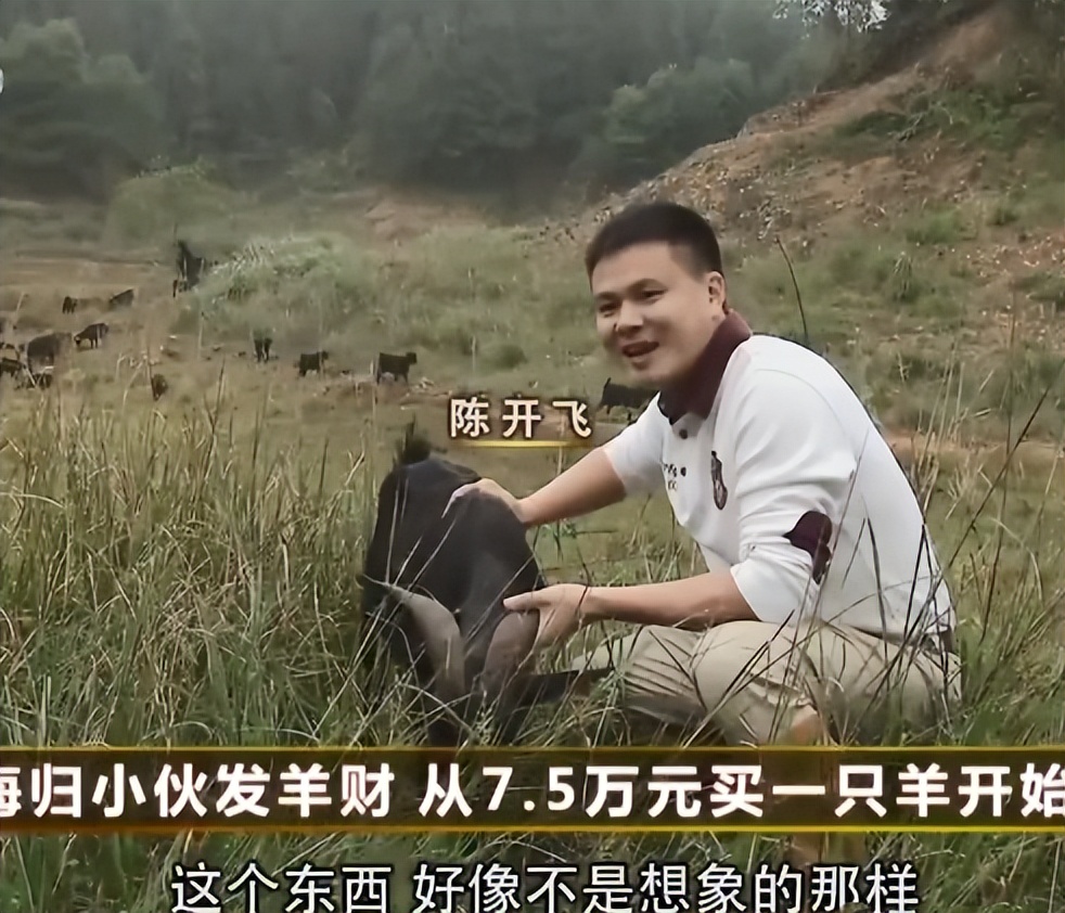 小伙放弃打工到大山里养殖,小伙放弃百万年薪转行回乡养猪